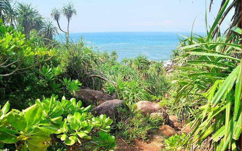 Тропические острова